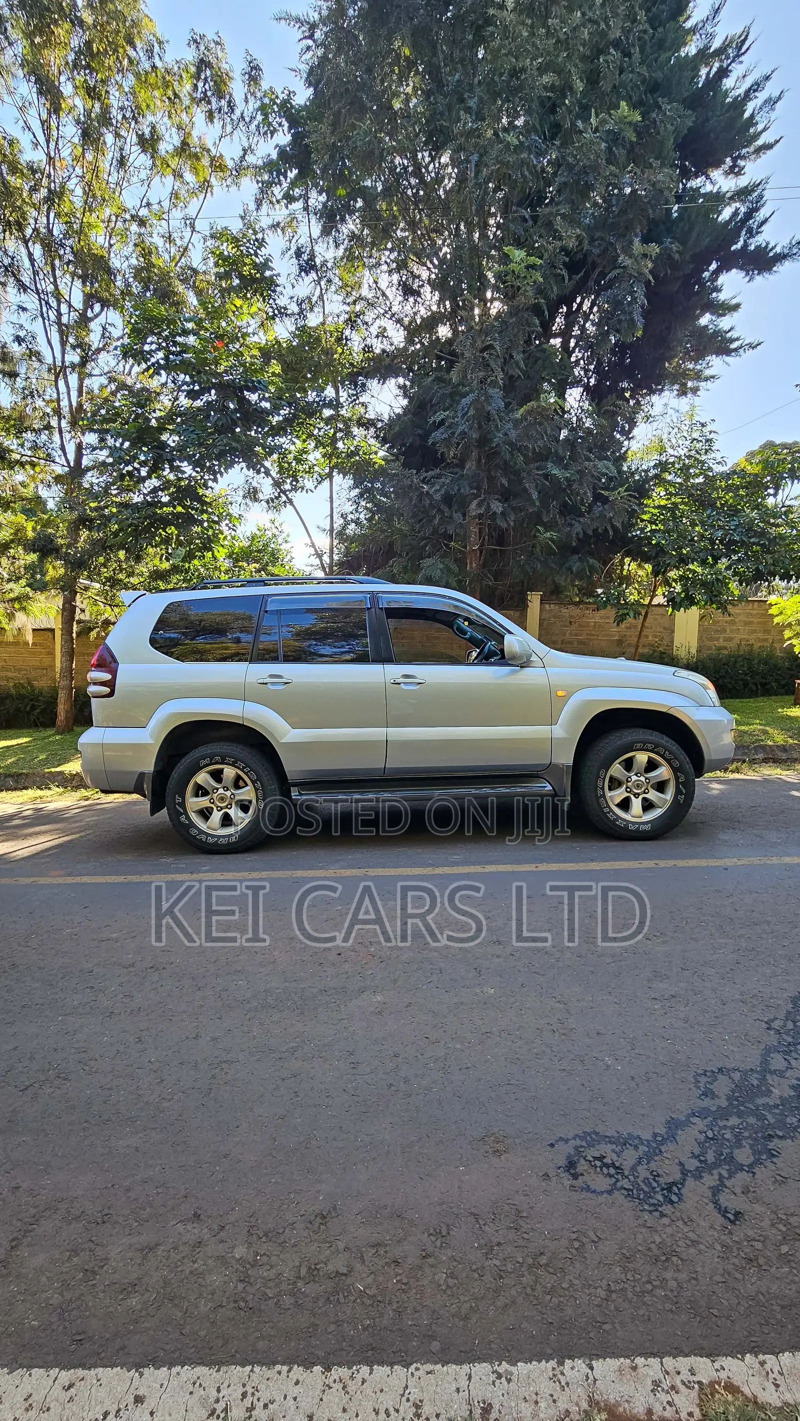 Toyota Land Cruiser 2004 Silver
