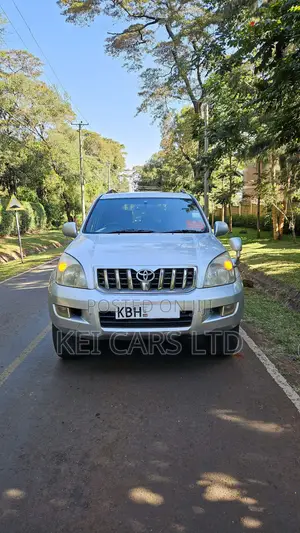Toyota Land Cruiser 2004 Silver