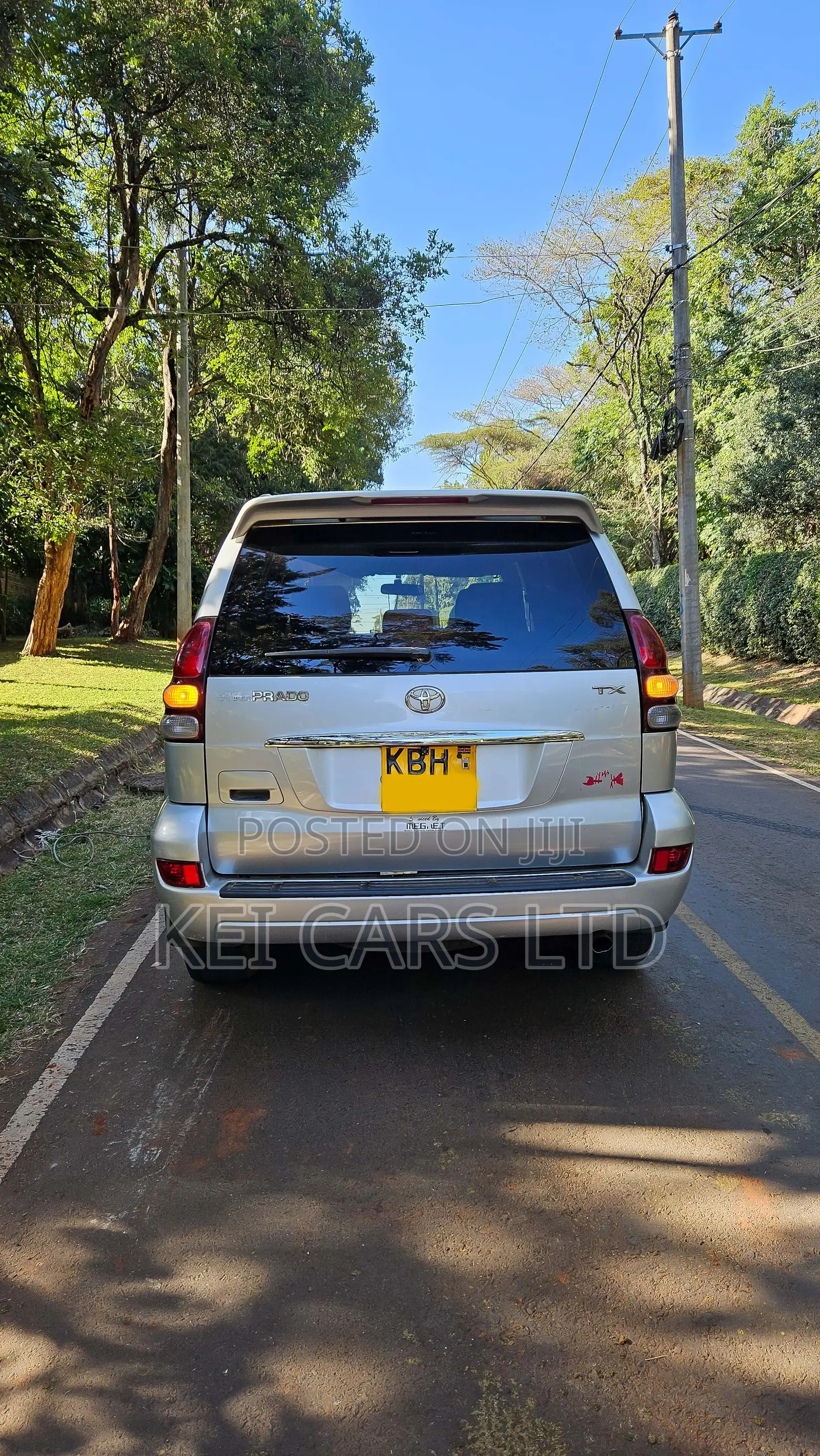 Toyota Land Cruiser 2004 Silver