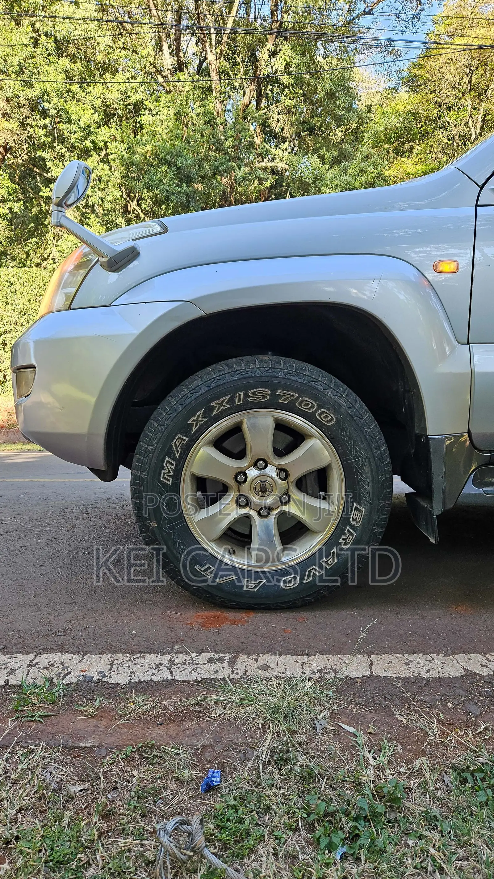 Toyota Land Cruiser 2004 Silver