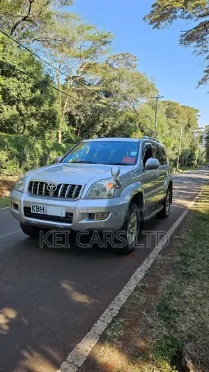 Toyota Land Cruiser 2004 Silver