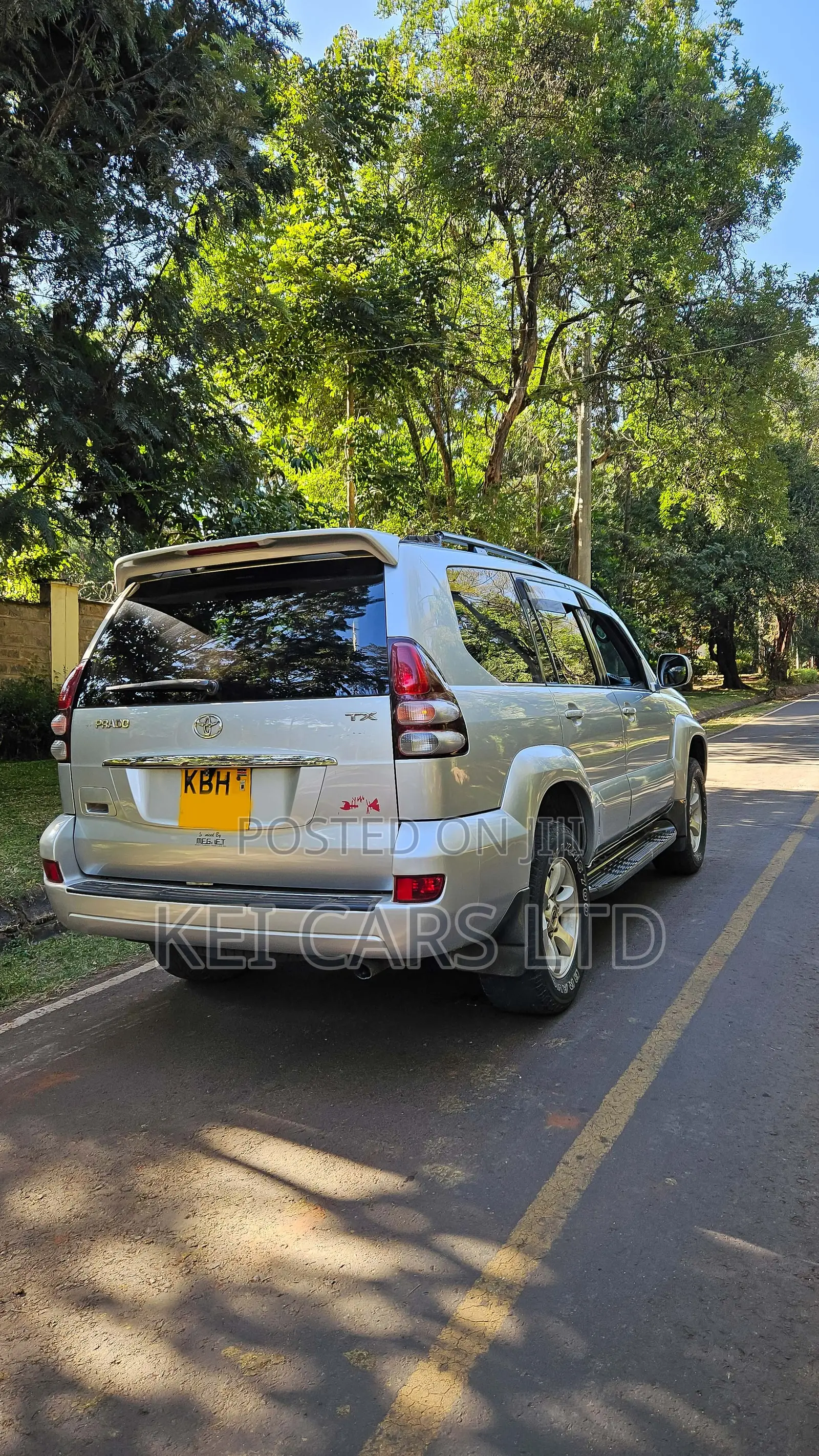 Toyota Land Cruiser 2004 Silver