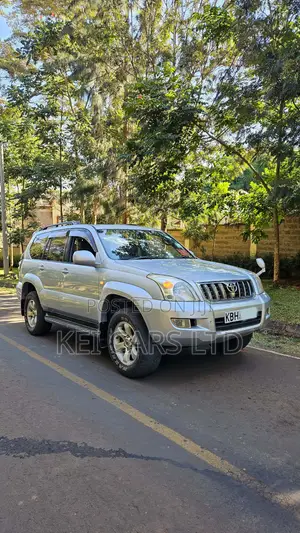 Toyota Land Cruiser 2004 Silver