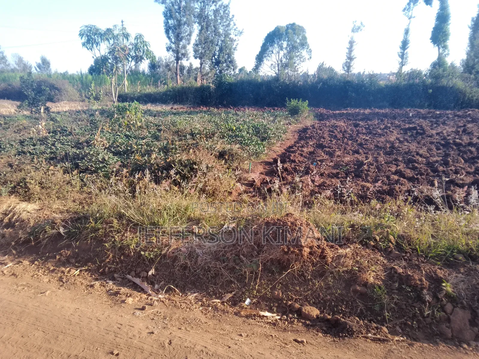 40 by 80 Kenol Githanji Estate