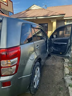 Suzuki Escudo 2009 Gray