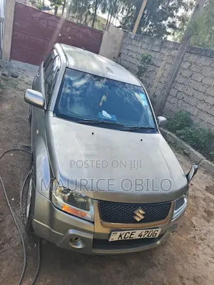 Suzuki Escudo 2009 Gray