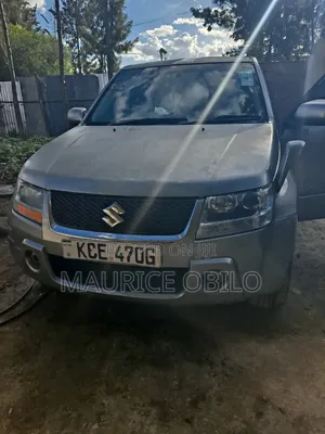 Suzuki Escudo 2009 Gray
