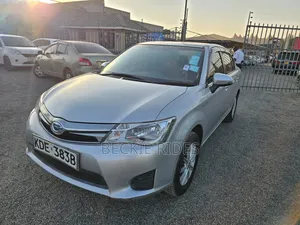Toyota Axio 2014 Silver