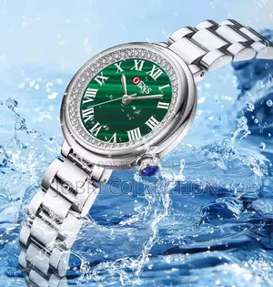 OFNS Ladies Stainless Steel Watch