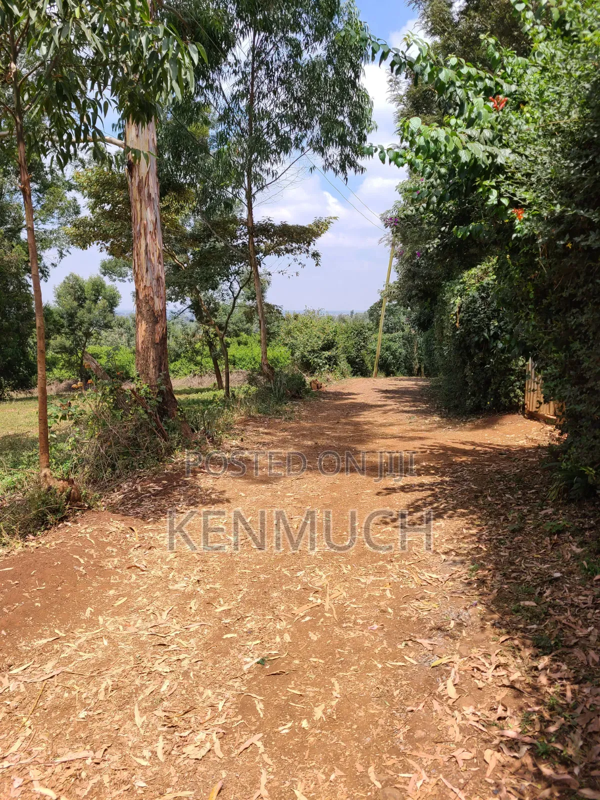 1/2 Acre Matasia,Kajiado (Barabara Mpya) (With Title Deed)
