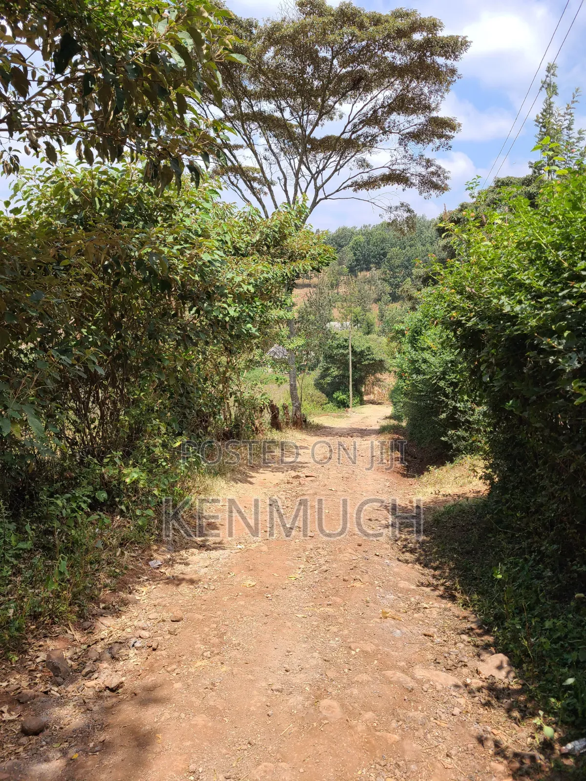 1/2 Acre Matasia,Kajiado (Barabara Mpya) (With Title Deed)