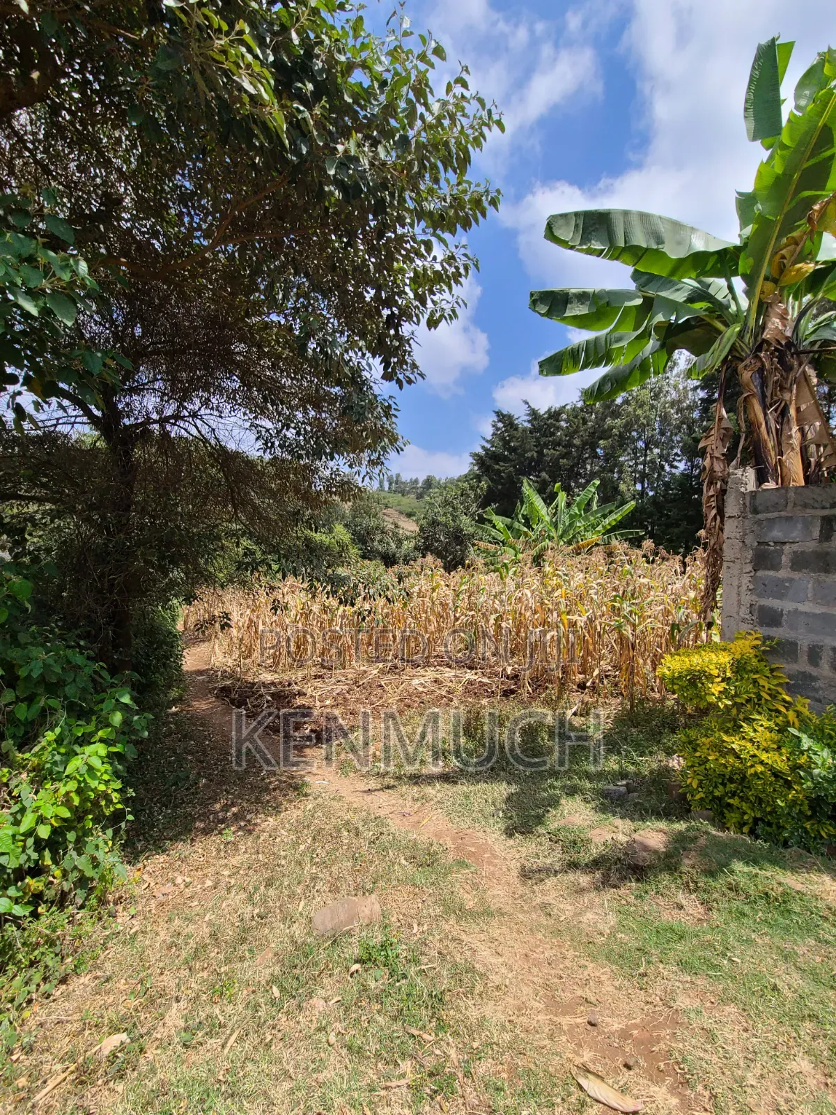 1/2 Acre Matasia,Kajiado (Barabara Mpya) (With Title Deed)
