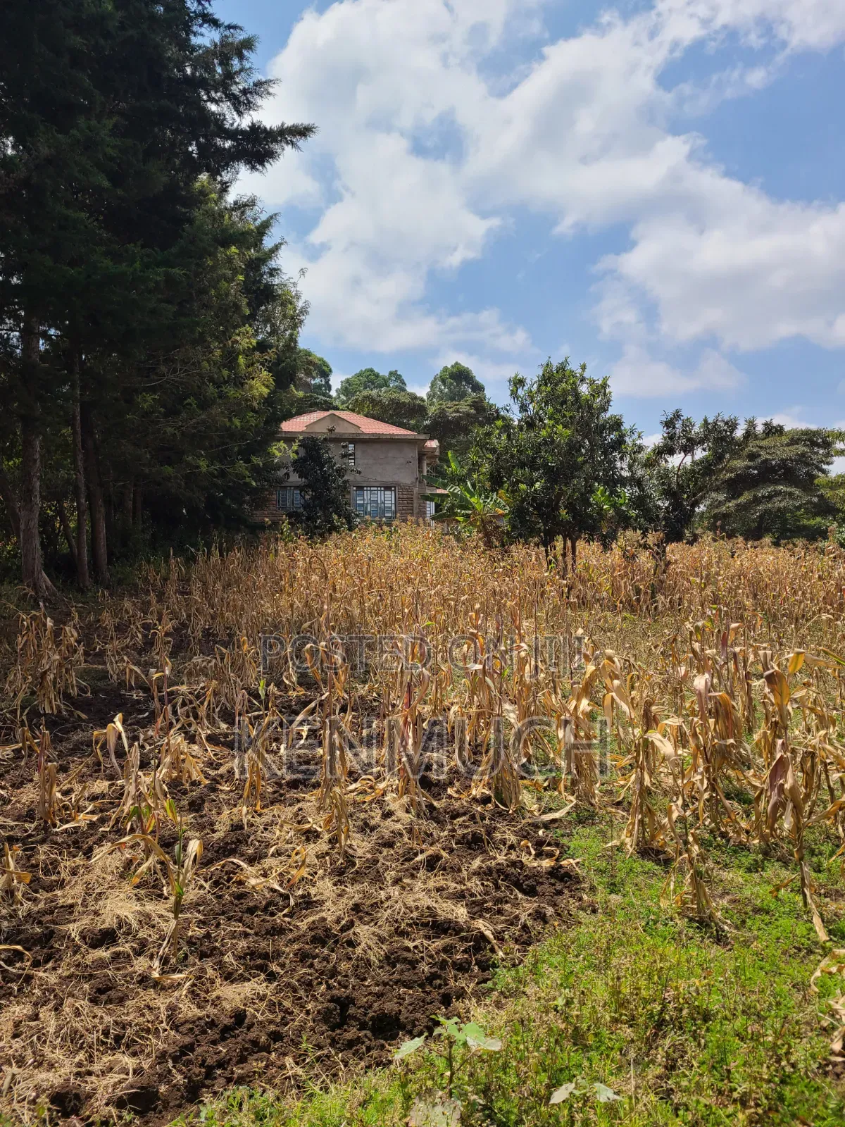 1/2 Acre Matasia,Kajiado (Barabara Mpya) (With Title Deed)