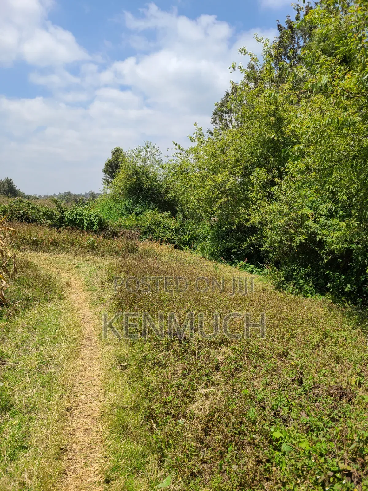 1/2 Acre Matasia,Kajiado (Barabara Mpya) (With Title Deed)