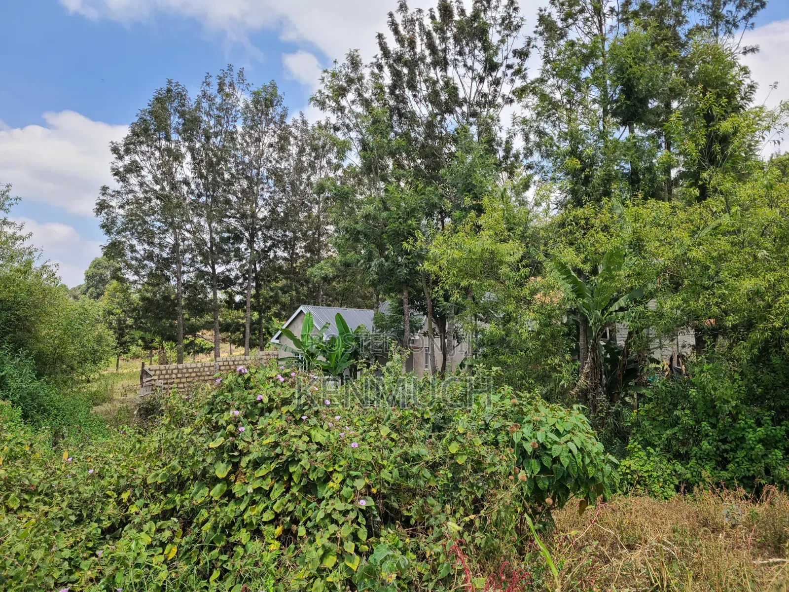 1/2 Acre Matasia,Kajiado (Barabara Mpya) (With Title Deed)