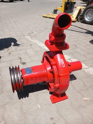 Bare Water Pump 135m Head
