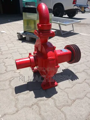 Bare Water Pump 135m Head