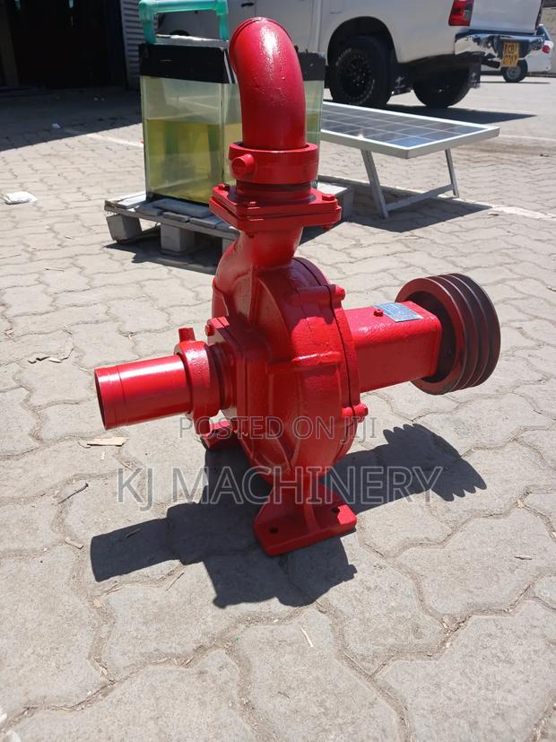 Bare Water Pump 135m Head - thumbnail 4