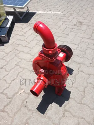 Bare Water Pump 135m Head