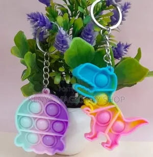 Pop It Key Holder