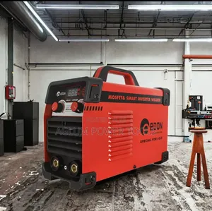 300A Professional Welding Machine