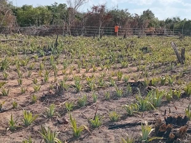 50 Acres Land on Sale