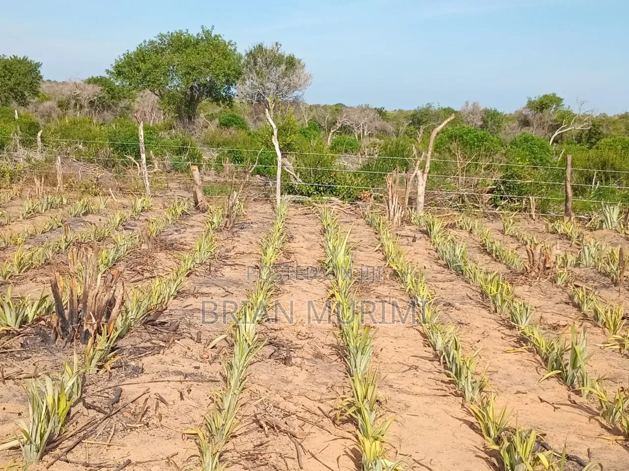 30 Acres Land on Sale