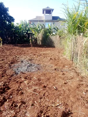 Plots in Gikambura