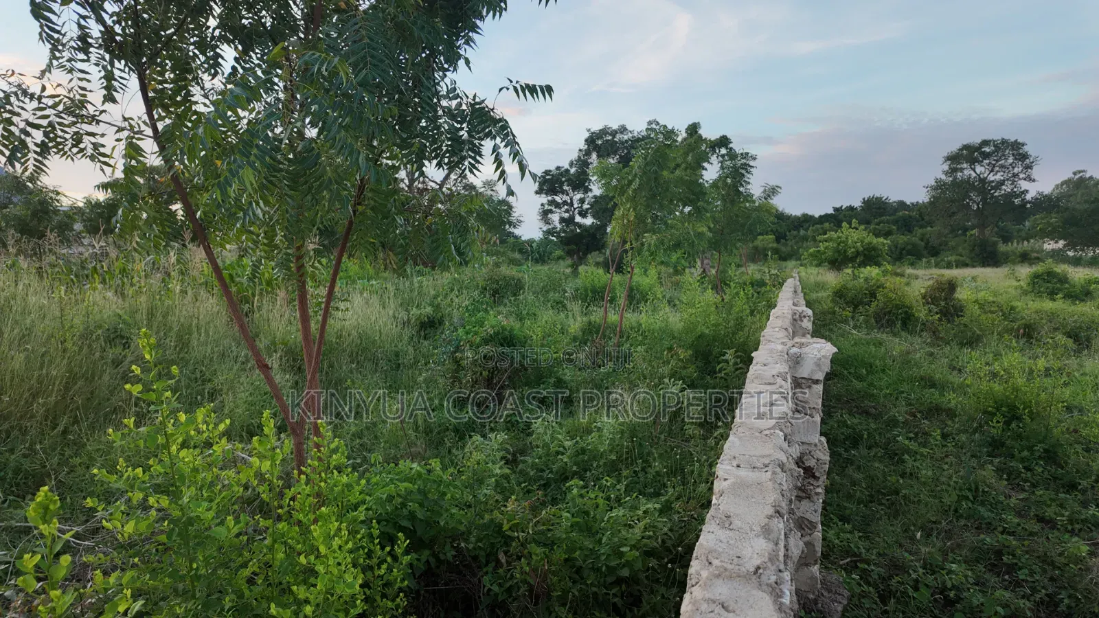 Diani Suites