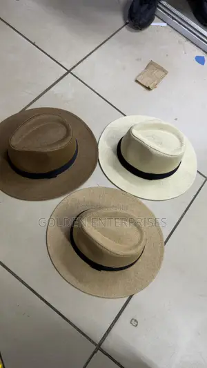 Quality Panama Men’s Stylish Hat