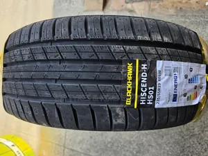 235 /55 R19 Blackhawk Tires (Highway)