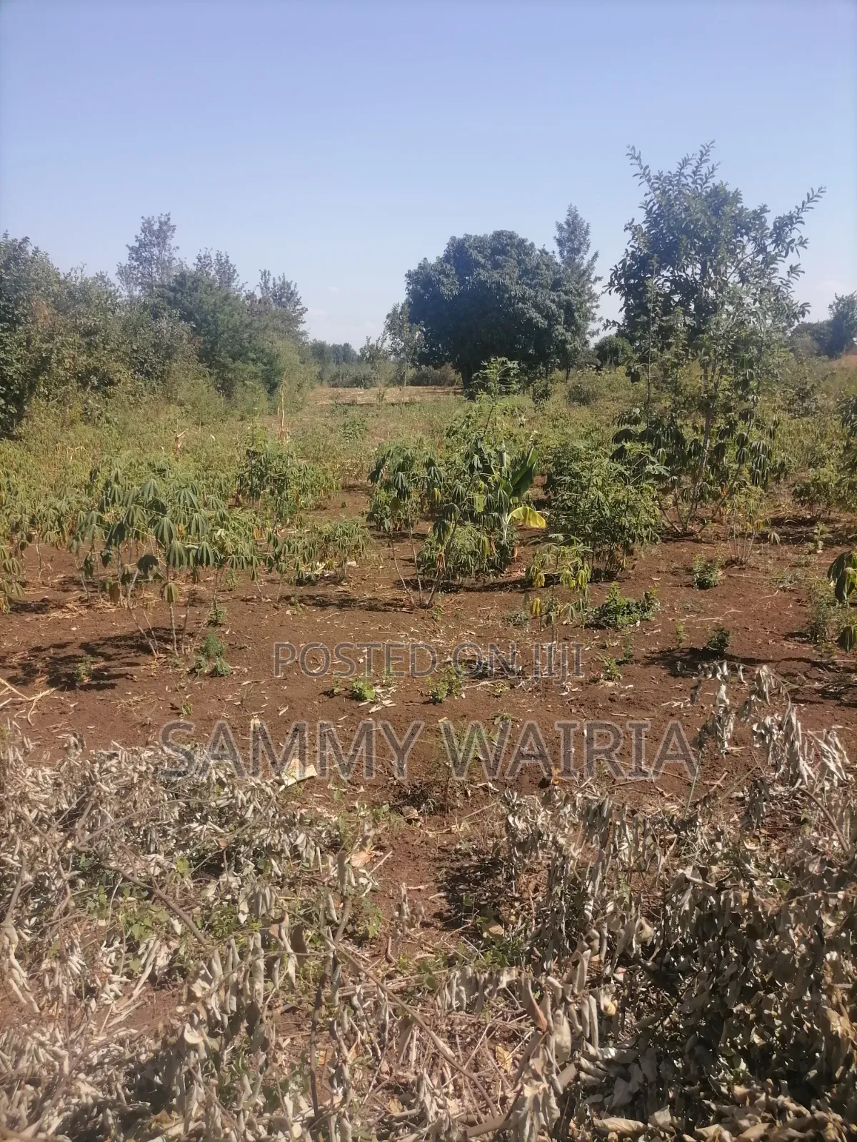 Land for Sale