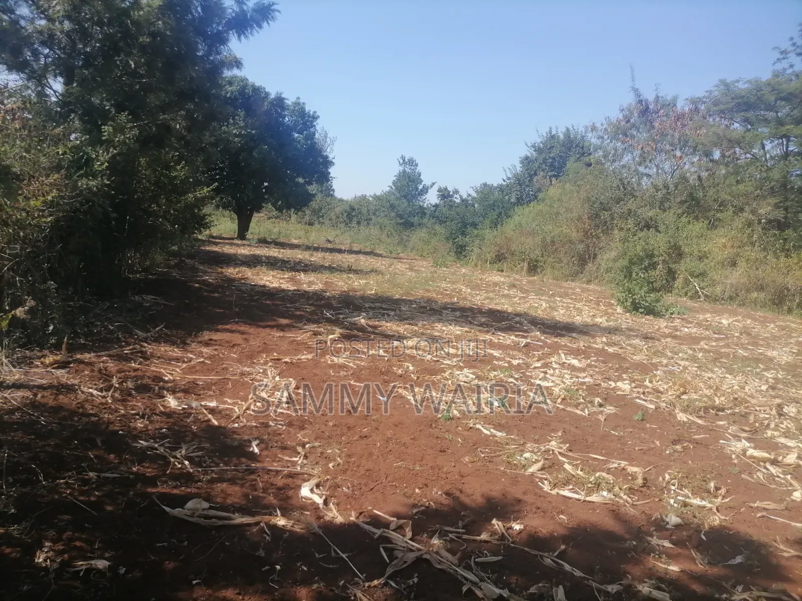 Land for Sale