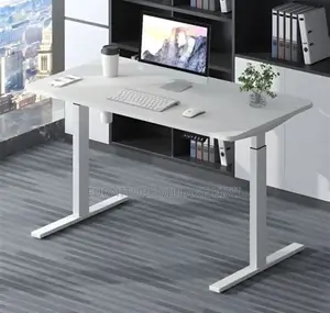 Office Furniture: Adjustable Generic Office Desk