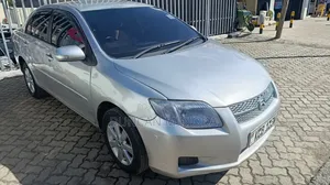 Toyota Axio 2008 Gray