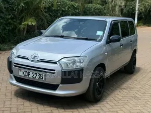 Toyota Probox 2014 Silver