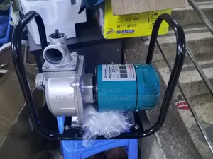 Premier Surface Solar Pump / DC Solar Pump