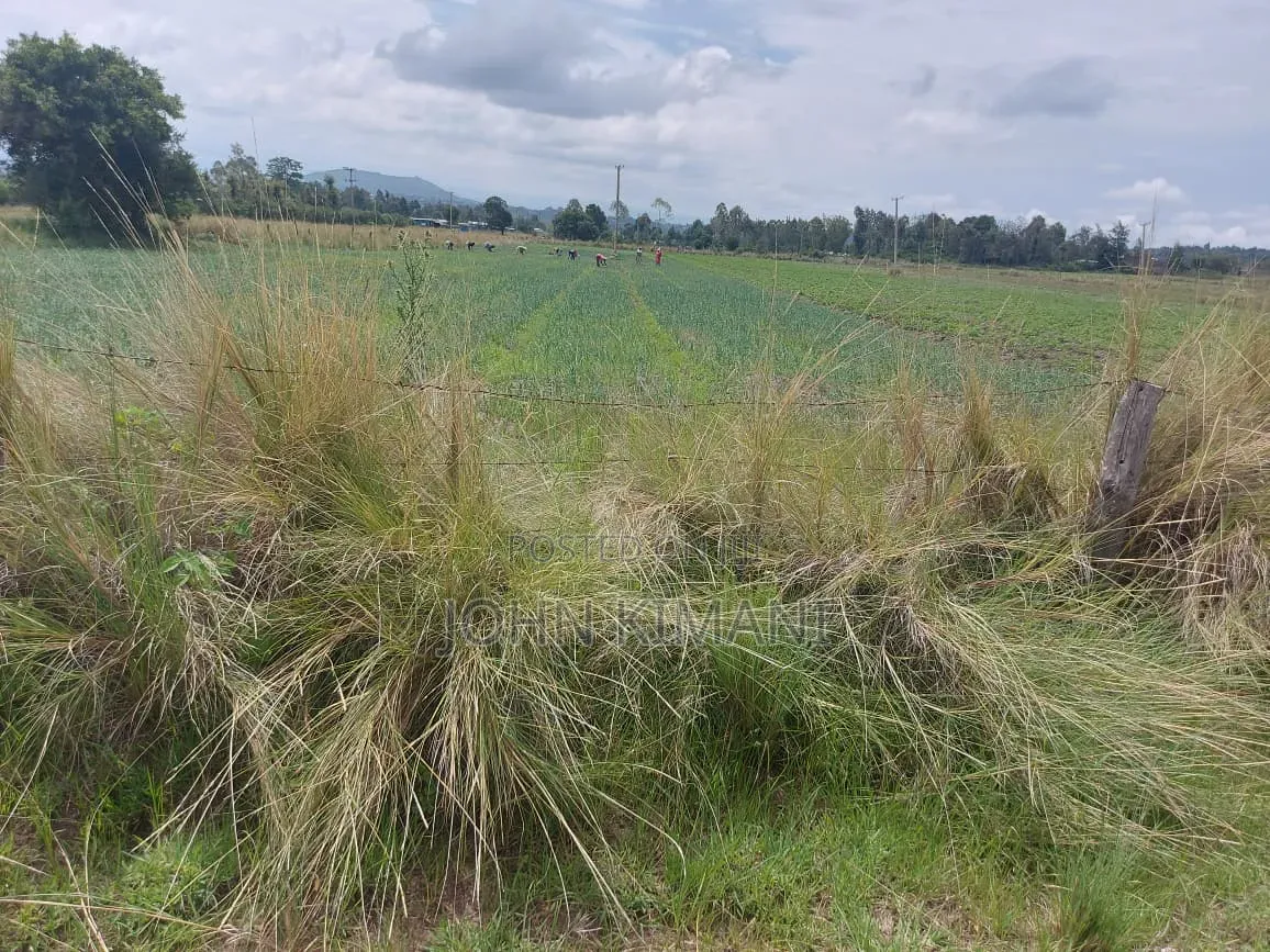 Juja Mastore 40 *60 Plot