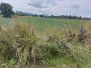 Juja Mastore 40 *60 Plot