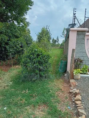 Juja Mastore 40 *60 Plot