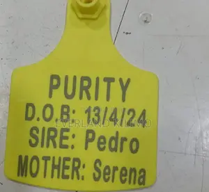 Identification Medium Cattle Ear Tag - Customized