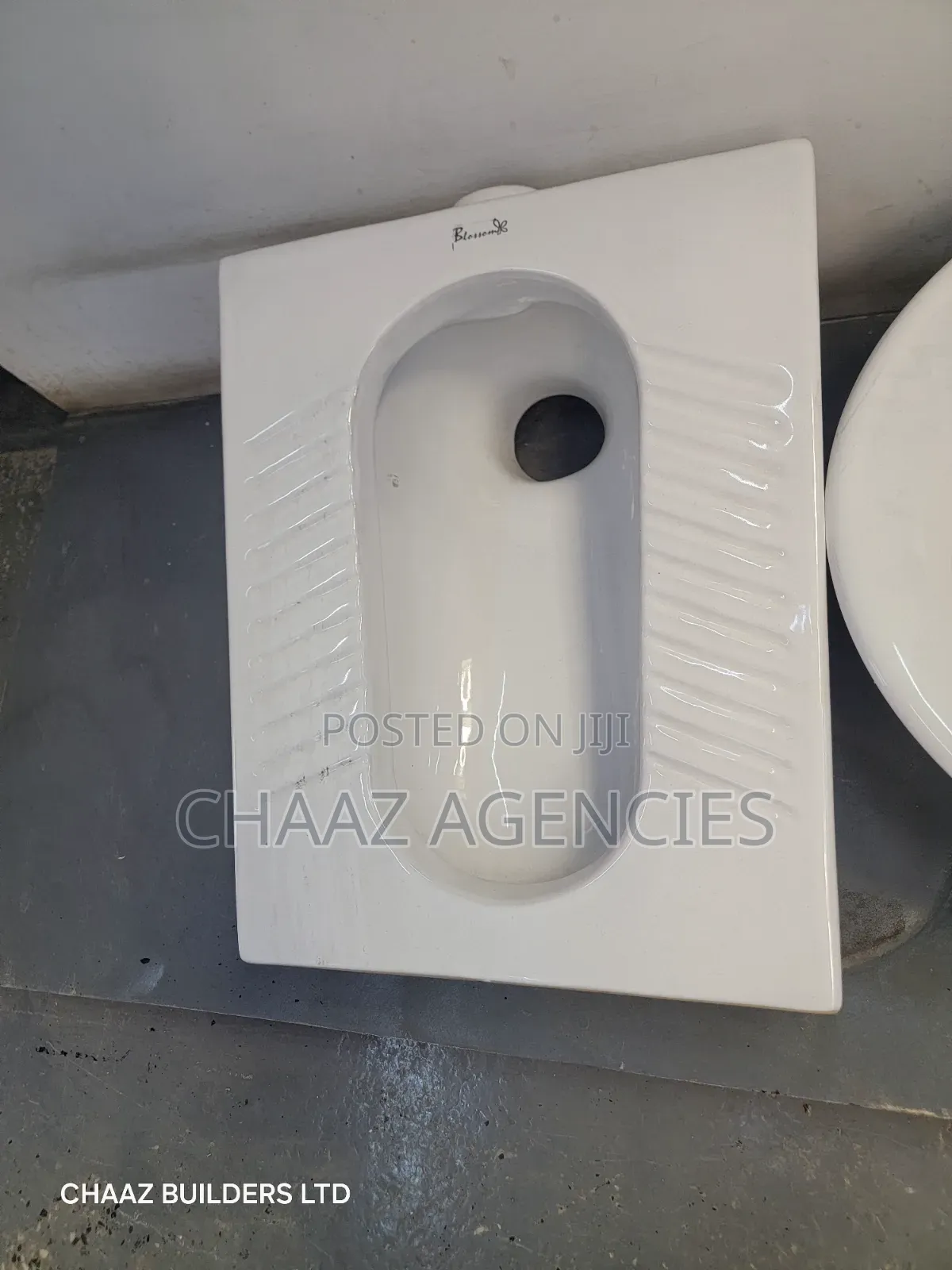 Step Asian Toilet