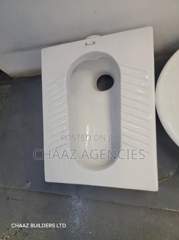 Step Asian Toilet - main view