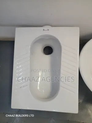 Step Asian Toilet
