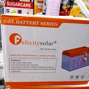 Best 100 Ah Felicity Solar Battery
