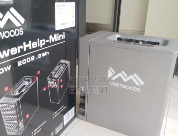 Vestwoods Lithium Battery by Haier - thumbnail 2