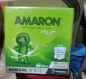 Amaron Battery N40