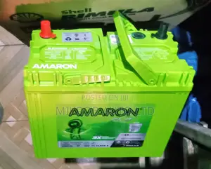 Amaron Battery N40