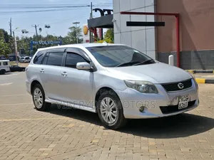 Toyota Corolla Fielder 2009 Silver