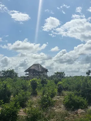 Jacaranda Plots